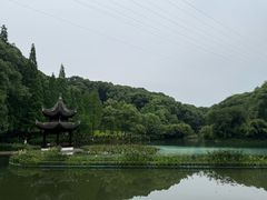 -忠山公园