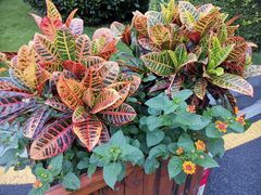 -金桥现代产业园区-停车场