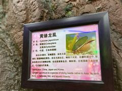 -上海大自然野生昆虫馆(东方明珠·爬宠昆虫探索中心)