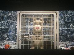 -金逸影城(大悦城IMAX激光店)
