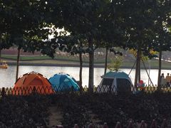 -羊亭河湿地公园