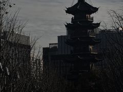 -龙华素斋(龙华路店)