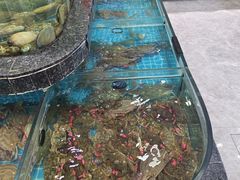-渔码头食府(蓬莱阁店)