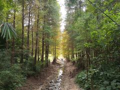 -广州市白云山风景名胜区