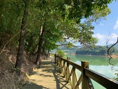 -广州市流溪河国家森林公园