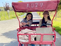 -上海长兴岛郊野公园