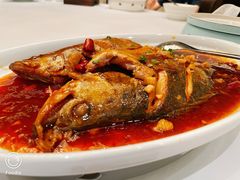 黄山臭桂鱼-同庆楼(大钟寺店)