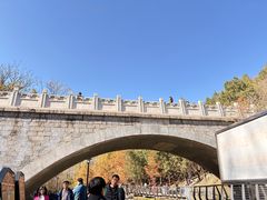 -白水寺森林公园