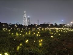 -深圳湾公园(南山区)