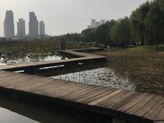-前关湿地公园