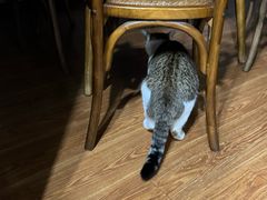 -水先生寧波菜(天一店)