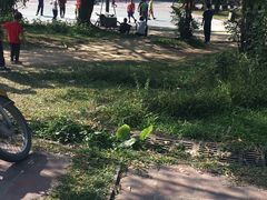 -南国桃园旅游度假区