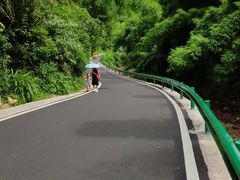 -芦沟竹海