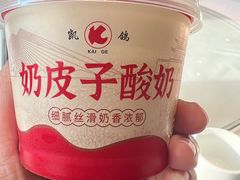 -凯鸽酒楼(操场城店)