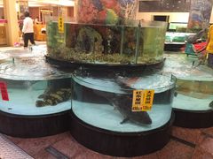 -东豪园林海鲜酒家(南港路辅路店)