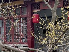 -南京珍珠泉风景区