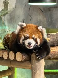 -Zoolung Zoolung动物主题公园(海信广场店)