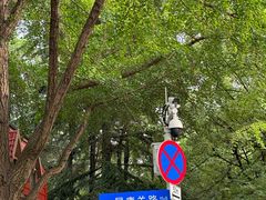 -八大关景区