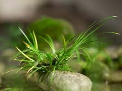 -1点点(河南中路店)