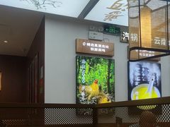 -云海肴·汽锅鸡·云南菜(高德置地店)
