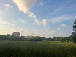 -雅馨国际月子中心