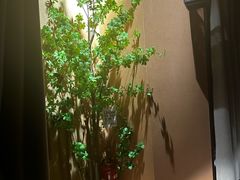 -泰·菩提树下[泰式按摩x精油SPAx肩颈头疗](新景店)