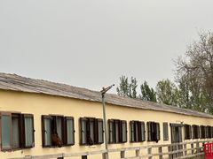 -北京群众马术培训基地
