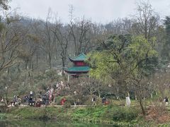 -岳麓山风景名胜区