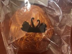 -BLACKSWAN黑天鹅(环球店)