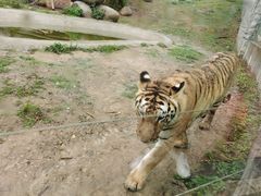 -泉州海丝野生动物世界