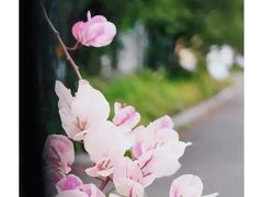 -广州市紫泥堂文化创意园景区