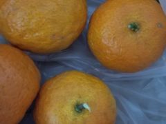 -神农美特好生鲜超市(三墙店)