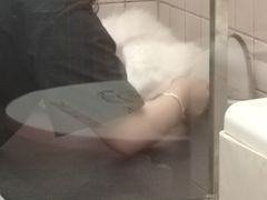 -FAELING PETS美天灵宠物(富力广场店)