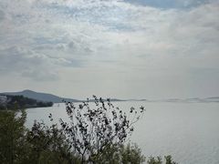 -美味之家·湖景农家乐(太湖东山店)