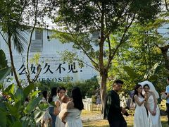 -芭厘农庄老字号·清远鸡