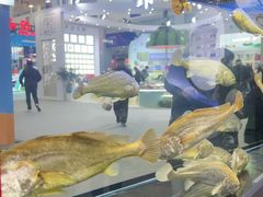 -宁波国际会展中心