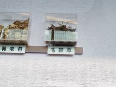 -椿杨樘·明康泡浴养生馆(重庆店)