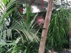 -滕头生态酒店(奉化店)