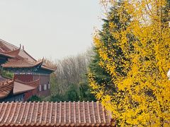 -开福禅寺