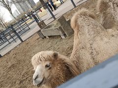 -长白岛森林公园