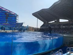 -上海海昌海洋公园