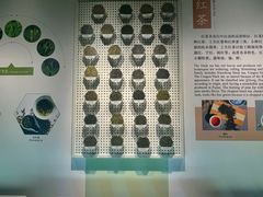 -中国茶叶博物馆(双峰馆区)