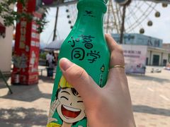 -国色天乡三期陆地乐园