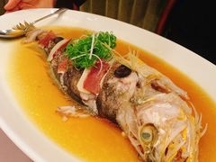 黄鱼-荣府宴(南阳路店)