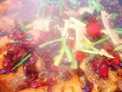 -老板恋上鱼(印象城店)