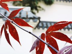 -北宫国家森林公园