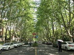 -浙江大学(玉泉校区)