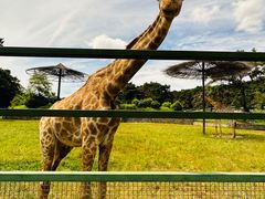 -沈阳森林动物园