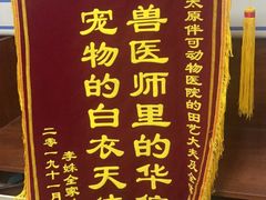 -美联众合动物医院·伴可分院·内科中心医院