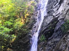 -梧桐山风景名胜区